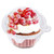 50 Pack Update Single Individual Cupcake Boxes for Cupcakes Muffins Sandwich Hamburgers Fruit Salad Disposable Clear Plastic Dome Cupcake Containers 50 Pack Update Single Individual Cupcake Boxes for Cupcakes Muffins Sandwich Hamburgers Fruit Salad Disposable Clear Plastic Dome Cupcake Containers