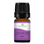 Plant Therapy Lavender Fine Essential Oil 5 mL 16 oz 100 Pure Undiluted Therapeutic Grade Plant Therapy Lavender Fine Essential Oil 5 mL 16 oz 100 Pure Undiluted Therapeutic Grade