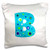 3dRose pc-224090-1 Boys Blue Letter H Pillow Case 16 x 16