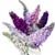 Butterfly Bush Seeds Buddleia davidii Mixed  1 Free Plant Marker 200