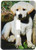 3dRose lsp_969_1 Cute Yellow Lab Puppy Single Toggle Switch