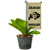 College Flags  and  Banners Co_ Colorado Buffaloes Mini Garden and Flower Pot Flag Topper College Flags  and  Banners Co_ Colorado Buffaloes Mini Garden and Flower Pot Flag Topper