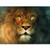 NEILDEN DIY 5D Diamond Painting Kits for Adults Full Drill Embroidery Paintings Rhinestone Pasted DIY Painting Cross Stitch Arts Crafts for Home Wall Decor 30x40cm11_8×15_7Inches?Lion NEILDEN DIY 5D Diamond Painting Kits for Adults Full Drill Embroidery Paintings Rhinestone Pasted DIY Painting Cross Stitch Arts Crafts for Home Wall Decor 30x40cm11_8×15_7Inches?Lion