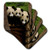 3dRose cst_70209_1 Giant Panda Bears, Wolong China Conservation, China-As07 Pox0378-Pete Oxford-Soft Coasters, Set of 4