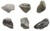 6PK Raw Pumice Igneous Rock Specimens - Approx_ 1 - Geologist Selected  and  Hand Processed - Great for Science Classrooms - Class Pack - Eisco Labs
