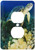 3dRose lsp_89949_6 Green Sea Turtle, Makena Sp, Maui, Hawaii Us12 Sws0150 Stuart Westmorland 2 Plug Outlet Cover
