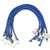 XSTRAP 6PK 36-Inch Bungee Cord Set Blue