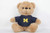 FOCO NCAA Michigan Wolverines 16 Plush Bear