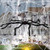 Halloween Spider Decorations Halloween Yard Decoration with 5ft Big Scary Spider 12ft Giant Spider Web 20 small Spider and 40g  cover 120sq Huge Stretch Cobweb for Party Outside Garden Décor