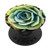 Desert Rose Green Garden Succulent Flower Cactus PopSockets PopGrip Swappable Grip for Phones  and  Tablets