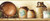 Chesapeake BBC65312B Irene Simple Pleasures Portrait Wallpaper Border Brown