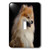3dRose lsp-1261-1 Pomeranian portrait Single Toggle Switch