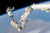 Astronaut anchored to a foot restraint on the International Space Stations Canadarm2 Poster Print 16 x 11