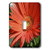 3dRose lsp-36186-1 Gerbera Daisy Macro- Flowers Single Toggle Switch Orange