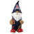 Arizona 2008 Team Gnome