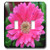 3dRose lsp-24959-2 Pink Daisy with Rain Drops Pink Gerbera Daisy Double Toggle Switch