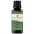 Plant Therapy Eucalyptus Dives Essential Oil 30 mL 1 oz 100 Pure Undiluted Therapeutic Grade