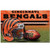 NFL Cincinnati Bengals Puzzle in Box 150 Piece