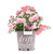 Star Rose Drift Series 19682 Sweet Drift Rose 19cm Double Pink