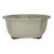 Brussels 7 Lotus Bonsai Glazed Ceramic Pot Medium Ivory