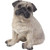 Sandicast Fawn Pug Sculpture, Sitting, Small Size