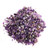 Wixine 1Pcs 100g Natural Mini Amethyst Point Quartz Crystal Stone Rock Chips Lucky Healing