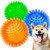 Squeaky Balls for Dogs Small_ Fetch Balls for Dogs Rubber 6 Pack Bright Colors TPR Puppy Toys Dog Toy Balls Dog Squeaky Toys Spike Ball Dog Chew Toys