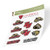 Caldwell University Cougars NCAA Sticker Vinyl Decal Laptop Water Bottle Car Scrapbook  Type 2 Sheet