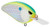 Spro SLIX70CSD Little John Crank Bait