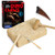 DIGLAB Dinosaur Claw Dig Kit_ Dino Fossil Excavation Kit for Kids_ Science Education Toys STEM 3D Dinosaur Skeleton DIY Toys for Boys Girls