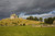Posterazzi Rock Cashel County Tipperary Ireland Castle On Hill And Abbey Ruins Poster Print_  17 x 11