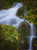 Posterazzi Alberta Canada A Waterfall Over Moss Covered Rocks Poster Print_  13 x 17