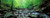 Posterazzi PPI150812S Stream flowing through rocks Aberfeldy Perthshire Scotland Poster Print_ 27 x 9