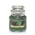 Yankee Candle Balsam & Cedar Small Jar Candle, Festive Scent by Yankee Candle Company