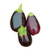 Burpee Black Beauty Eggplant Seeds 100 seeds