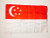 AZ FLAG Singapore Flag 2 x 3 for a Pole - Singaporean Flags 90 x 60 cm - Banner 2x3 ft with Hole Light Polyester