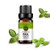 Basil Essential Oil 100% Pure Aromatherapy Therapeutic Grade Essential Oil for Diffuser 10ML