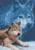 Janlynn Forever Wild Wolf Mini Counted Cross Stitch Kit-5X7 14 Count