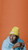 Go Awesome Tyler The Creator Poster Print 12 inch X 18 inch Rolled