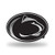 NCAA Rico Industries Chrome Finished Auto Emblem 3D Sticker Penn State Nittany Lions