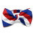 TieMart Striped Bow Tie Red White and Blue