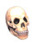 Rubie's Costume Skull Prop Costume