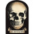 amscan Boneyard Halloween Party Creepy Skull Invitation Paper 4 X 6_ Pack of 20 Party Supplies