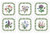 Portmeirion Botanic Garden Coasters, Set of 6