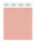 PANTONE SMART 14-1316X Color Swatch Card, Dusty Pink