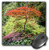 3dRose LLC 8 x 8 x 0.25 Inches Mouse Pad, Japanese Maple (mp_160127_1)
