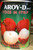 20oz Aroy-D Lychee in Syrup Pack of 2