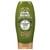 Garnier Whole Blends Condition Olive Oil 12_5 Ounce 370ml 3 Pack