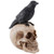 Pacific Giftware Perched Raven On Skull Poe Raven Figurine Halloween Home Decor Gift