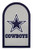 Applied Icon NFL Dallas Cowboys Mailbox Door Logo Decal